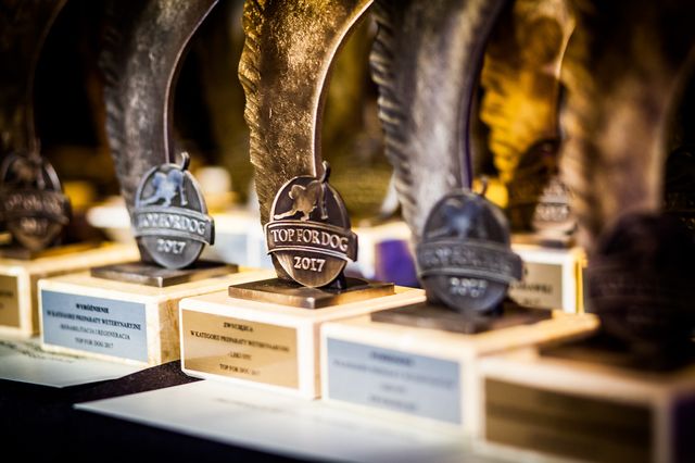 Agnieszka Włodarczyk i inne gwiazdy na gali Ty Fundujesz Dobro (ZDJĘCIA)