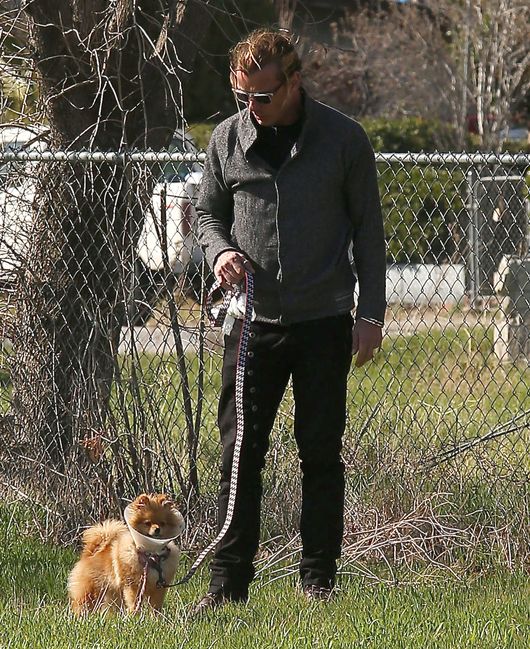 Gwen, Gavin, Zuma, Kingston i paparazzi... (FOTO)