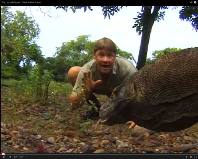 Świadek śmierci Steve'a Irwina opowiada o zgonie przyjaciela Świadek śmierci Steve'a Irwina opowiada o zgonie przyjaciela