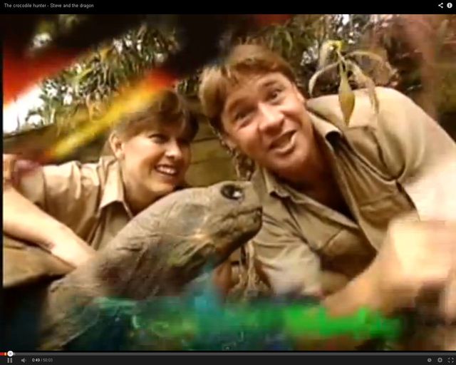 Świadek śmierci Steve'a Irwina opowiada o zgonie przyjaciela Świadek śmierci Steve'a Irwina opowiada o zgonie przyjaciela