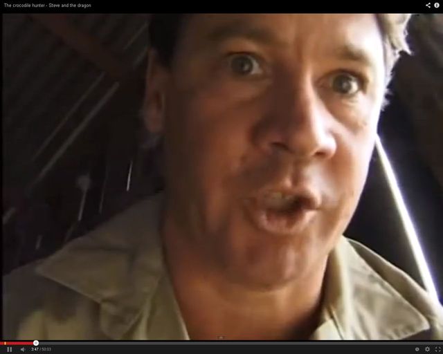 Świadek śmierci Steve'a Irwina opowiada o zgonie przyjaciela Świadek śmierci Steve'a Irwina opowiada o zgonie przyjaciela