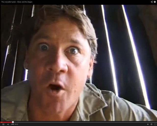 Świadek śmierci Steve'a Irwina opowiada o zgonie przyjaciela Świadek śmierci Steve'a Irwina opowiada o zgonie przyjaciela