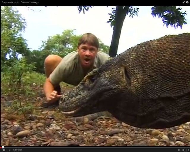 Świadek śmierci Steve'a Irwina opowiada o zgonie przyjaciela Świadek śmierci Steve'a Irwina opowiada o zgonie przyjaciela