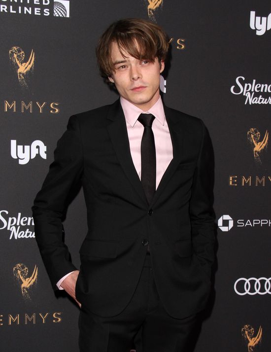 ‌Charlie Heaton ze Stranger Things zatrzymany na lotnisku w USA