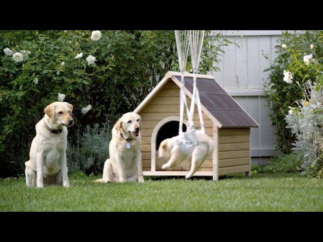 Zobaczcie najlepsze reklamy Super Bowl 2013 (VIDEO)