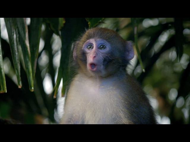 Zobaczcie najlepsze reklamy Super Bowl 2013 (VIDEO)