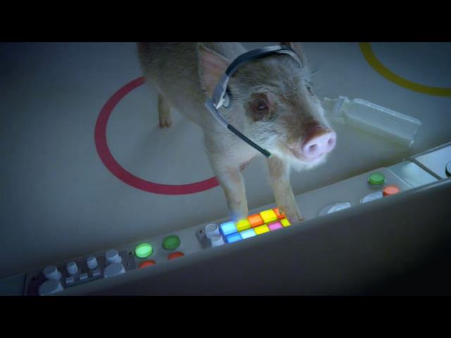 Zobaczcie najlepsze reklamy Super Bowl 2013 (VIDEO)