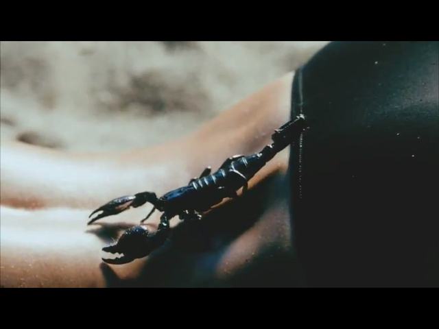 Zobaczcie najlepsze reklamy Super Bowl 2013 (VIDEO)