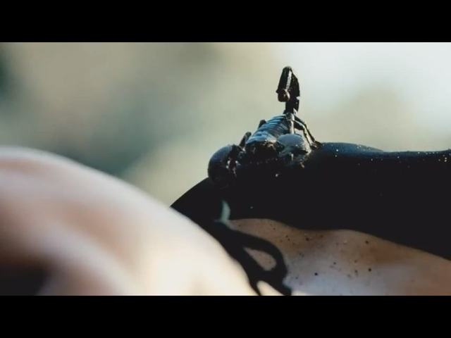 Zobaczcie najlepsze reklamy Super Bowl 2013 (VIDEO)