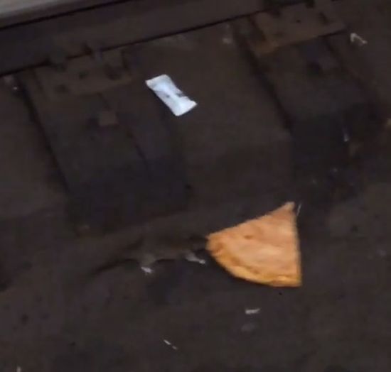 NIESAMOWITE! Ten filmik podbija internet! (VIDEO) NIESAMOWITE! Ten filmik podbija internet! (VIDEO)