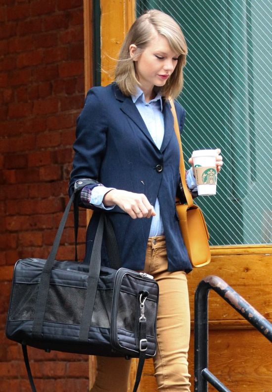 Przez kota do serca - Drake to dobry strateg