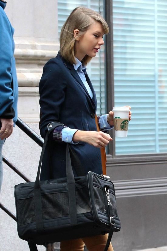 Przez kota do serca - Drake to dobry strateg