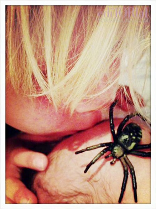 Synek Tori Spelling ma ksywkę Tarantula (FOTO)