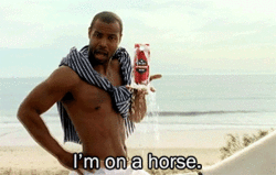 Starosta Ostrołęcki chwali się... koniem w gabinecie (FOTO)