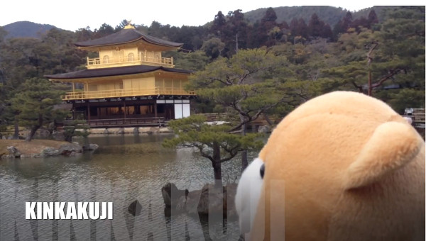 Można wysłać na wakacje swojego pluszaka... (VIDEO) Można wysłać na wakacje swojego pluszaka... (VIDEO)