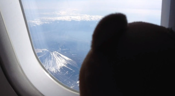 Można wysłać na wakacje swojego pluszaka... (VIDEO) Można wysłać na wakacje swojego pluszaka... (VIDEO)