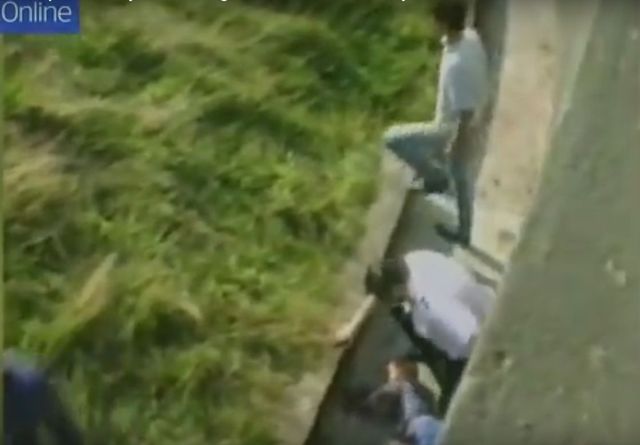 Szok! 5-latek w zoo spadł na wybieg z gorylami (VIDEO)