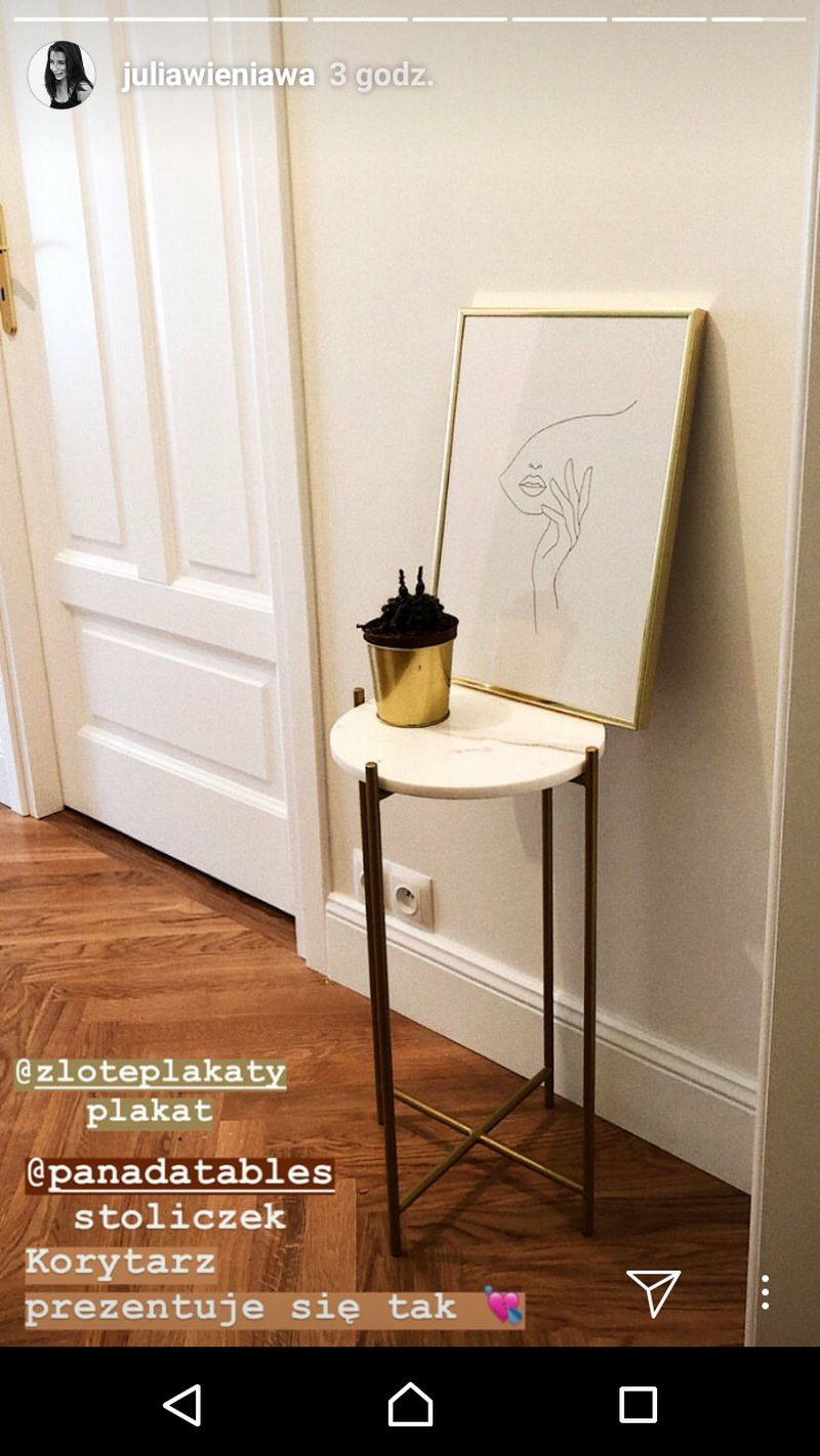 Julia Wieniawa TAK urządziła swój SALON (Instagram)