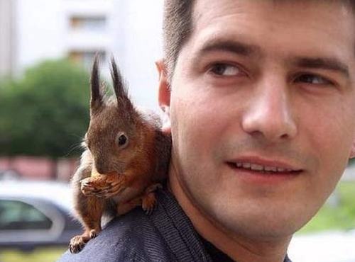 Wzruszająca historia.. wiewiórki znalezionej przez żołnierza