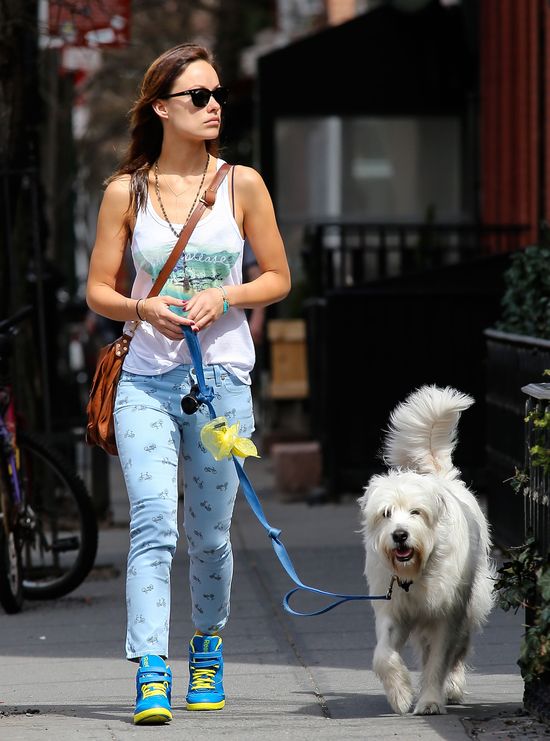 Kolorowa Olivia Wilde na spacerze Kolorowa Olivia Wilde na spacerze