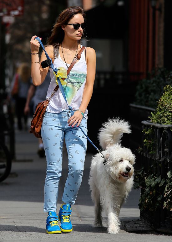 Kolorowa Olivia Wilde na spacerze Kolorowa Olivia Wilde na spacerze