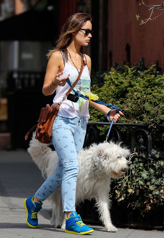 Kolorowa Olivia Wilde na spacerze Kolorowa Olivia Wilde na spacerze
