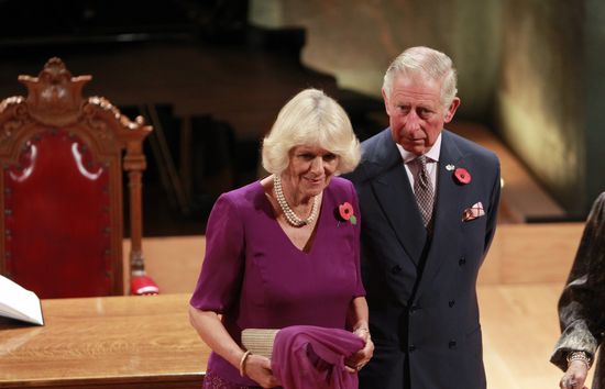 Książę Karol ma nieślubne dziecko z księżną Kamilą? (VIDEO)