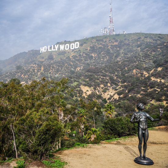 Pożar opanowuje Hollywood! Rezydencje gwiazd zagrożone (VIDEO) 
