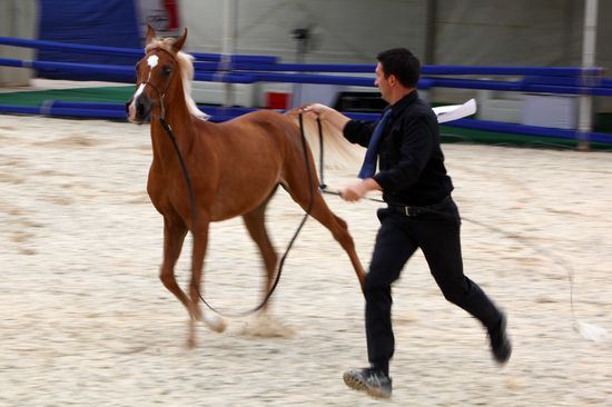 Shirley Watts zapowiada pozew przeciwko polskiej władzy Shirley Watts zapowiada pozew przeciwko polskiej władzy