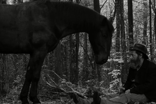 Maciej Stuhr - Orły 2014 - parodia (VIDEO) Maciej Stuhr - Orły 2014 - parodia (VIDEO)