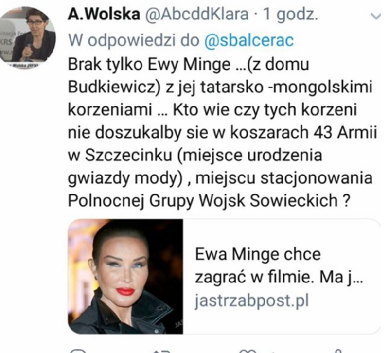 Minge walczy hejtem: sugerują, że jestem pomiotem zbiorowego GWAŁTU wojsk!