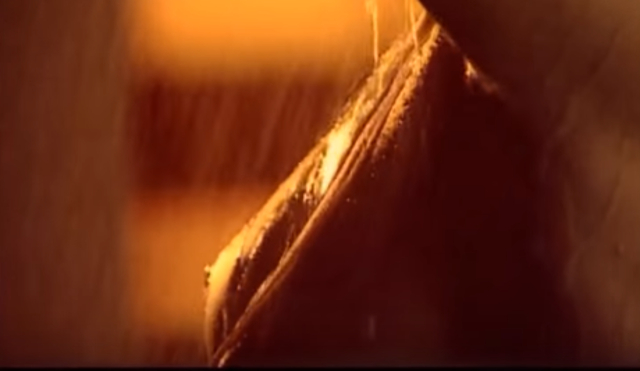 Dygant NAGO w Kobietach Mafii: Jestem profesjonalistką! Dygant NAGO w Kobietach Mafii: Jestem profesjonalistką!