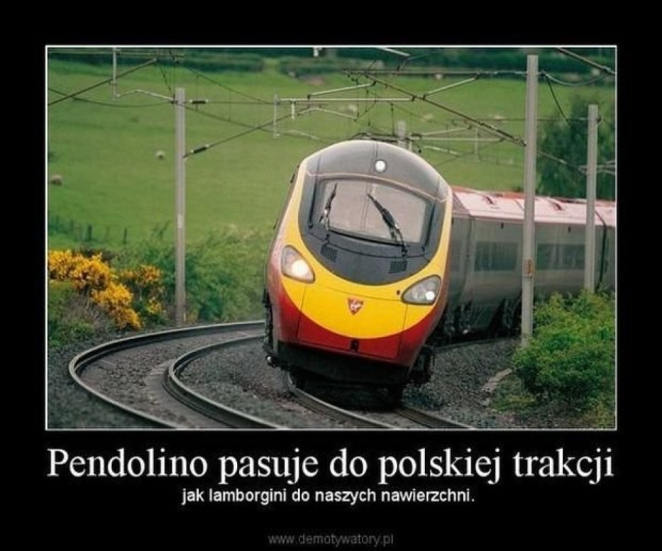 Polskie Pendolino domykają... butem! [VIDEO]