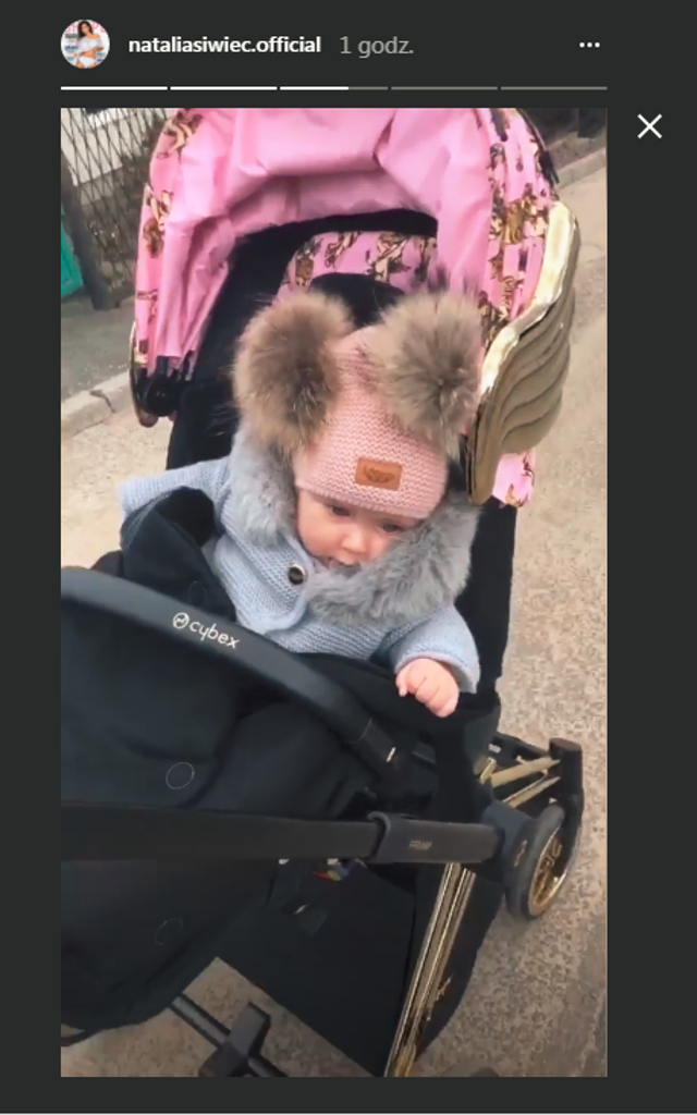 Siwiec na spacerze z Mią, psem i wózkiem drogim jak TOREBKA Tadli Siwiec na spacerze z Mią, psem i wózkiem drogim jak TOREBKA Tadli