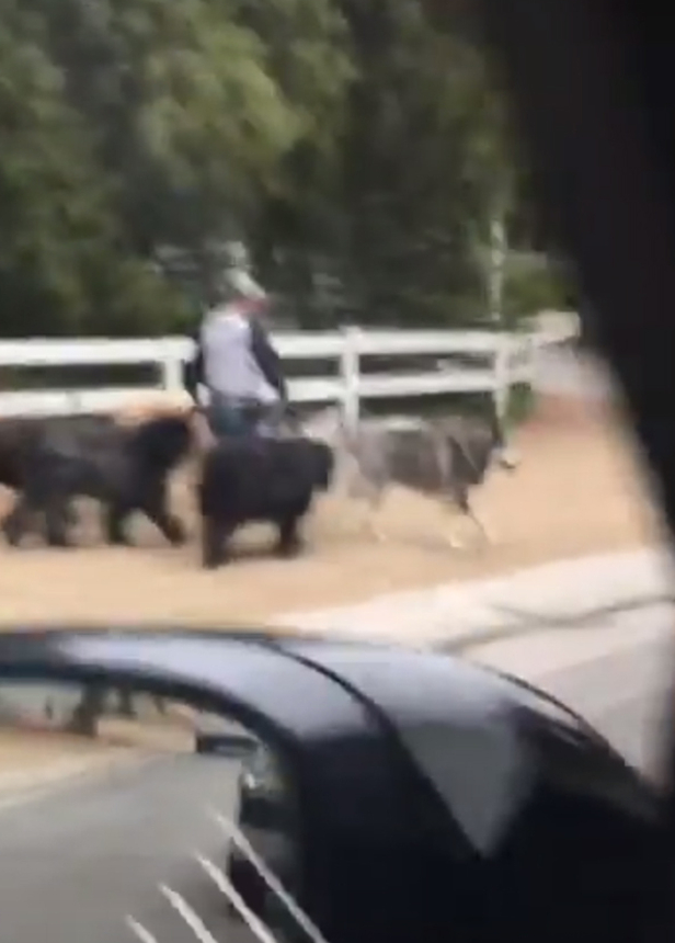 Kim Kardashian zdradziła, czego BOI się najbardziej! Cierpi na to schorzenie!