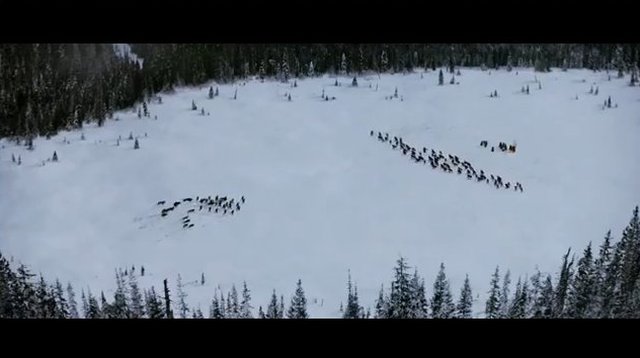 Gotowi na pełny trailer Zmierzch: Przed świtem. cz.2? VIDEO