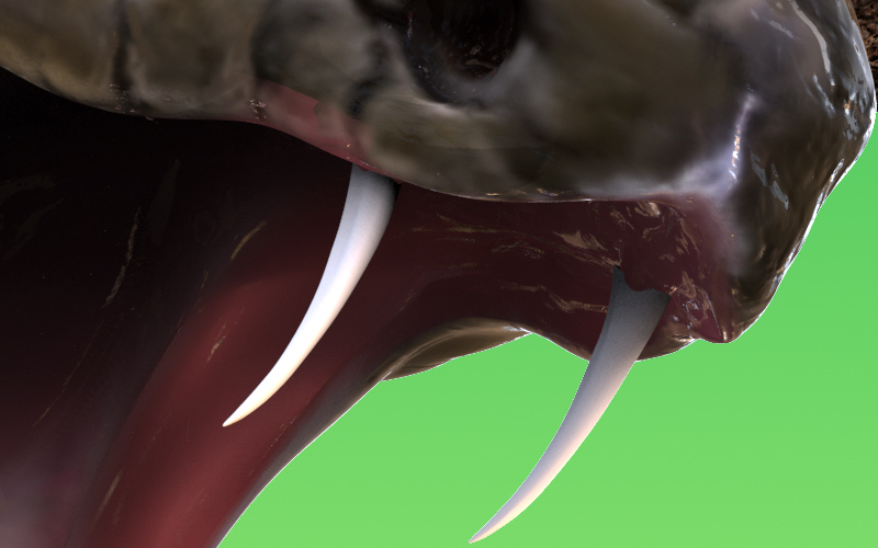 Koroniewska przestrzega przed PYTONEM: Bijcie drągiem lub grabiami!