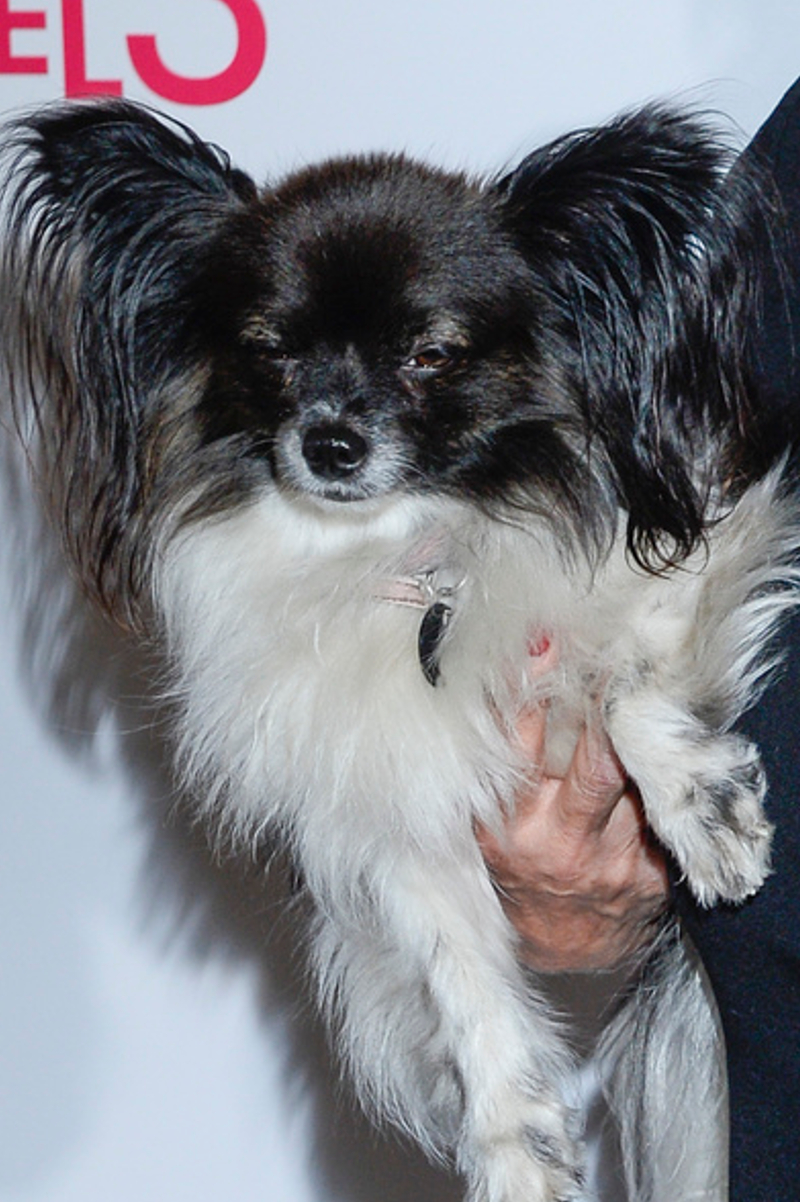 TO zdjęcie Ewy Kasprzyk wywołało BURZĘ: starość nie radość!