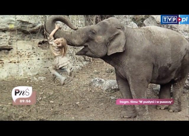 Dziecięcy aktorzy po latach. Pamiętacie małą Nel? Dziecięcy aktorzy po latach. Pamiętacie małą Nel?