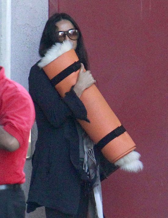 Demi Moore będzie instruktorką jogi! Demi Moore będzie instruktorką jogi!