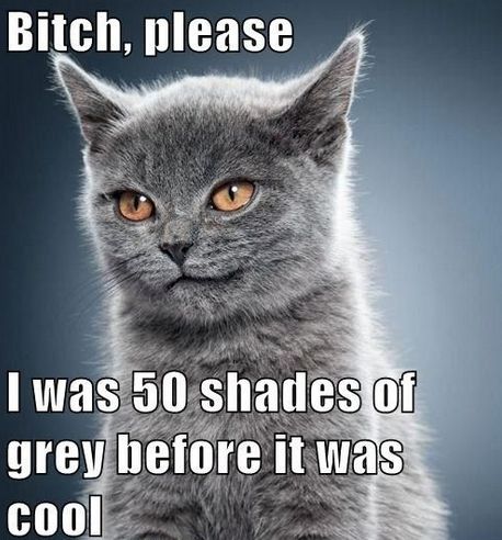 Już są parodie i memy z 50 twarzy Greya (FOTO+VIDEO) Już są parodie i memy z 50 twarzy Greya (FOTO+VIDEO)