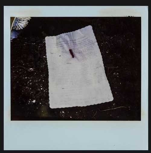 Niepublikowane zdjęcia z miejsca, gdzie znaleziono Cobaina