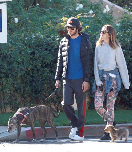 Pieskie życie Leighton Meester i Adama Brody'ego (FOTO) Pieskie życie Leighton Meester i Adama Brody'ego (FOTO)