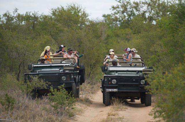 Kto odpadł w 5. odcinku Agenta? (FOTO)
