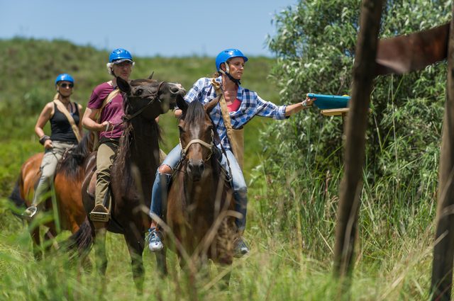 Ile zarobili uczestnicy Agenta - Gwiazdy? Ile zarobili uczestnicy Agenta - Gwiazdy?