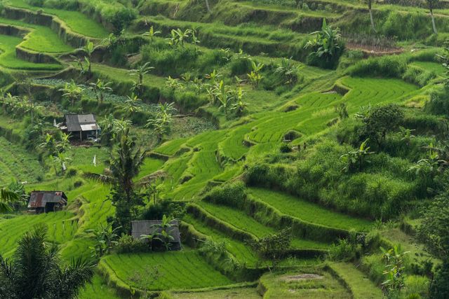 5. odcinek Agent Gwiazdy - kto odpadł z gry?