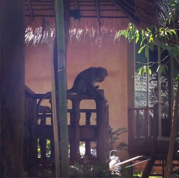 Wakacje w wydaniu Agnieszki Szulim (FOTO) Wakacje w wydaniu Agnieszki Szulim (FOTO)