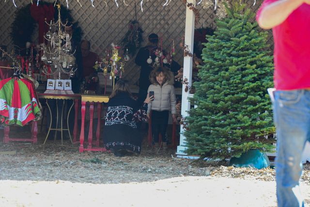 Jessica Alba przygotowuje się z rodziną na święta (FOTO)  