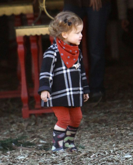 Jessica Alba przygotowuje się z rodziną na święta (FOTO)  