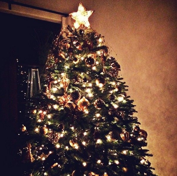 Gwiazdy chwalą się choinkami (FOTO)